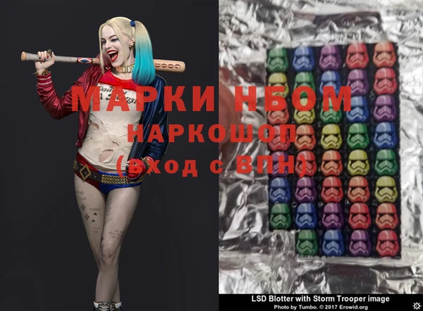 шишки Беломорск