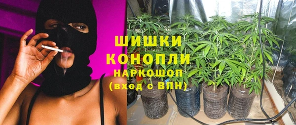 шишки Беломорск