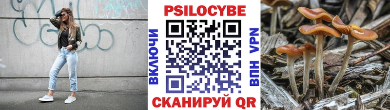Псилоцибиновые грибы MAGIC MUSHROOMS  Ялта 
